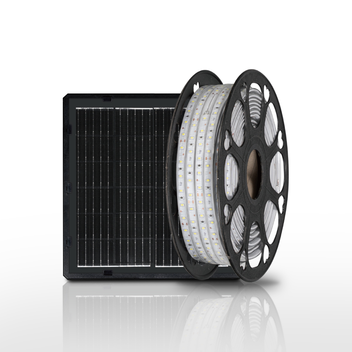 Ảnh của Đèn Led Dây Đôi SSL-A