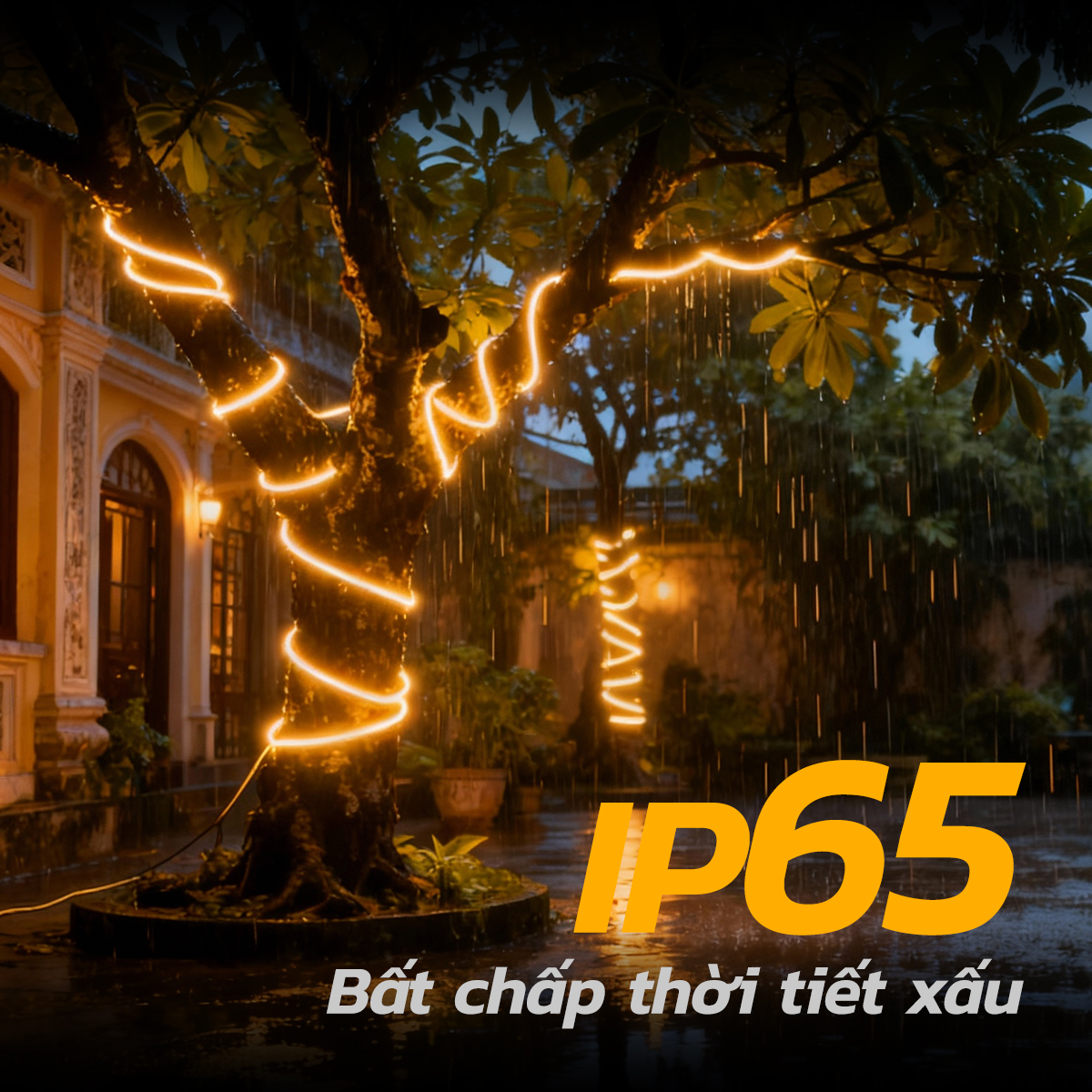 Ảnh của Đèn Led Dây Đôi SSL-A