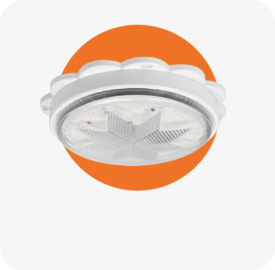 Picture for category Ceiling Light